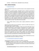 INTRODUCCIÓN. FUNDAMENTOS DEL PROCESO