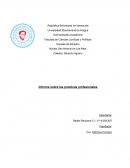 INFORME DE PASANTIA EN DERECHO CIVIL