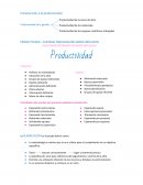 INTRODUCCIÓN A LA PRODUCTIVIDAD