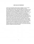 COMO CAEN LOS PODEROSOS