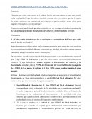 CASO COMUNICACIÓN-DECLARACIÓN