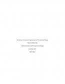 Administración de la prevención de riesgos