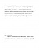 Libro “ángel sin libertad “