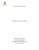 Ensayo de salud ocupacional