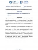 Ensayo argumentativo: Relación entre las Organizaciones y su entorno
