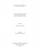 PRÁCTICA DE LABORATORIO 4 DE CIRCUITOS ELÉCTRICOS