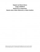 Reseña sobre el Motor Diferencial y el Motor Analítico