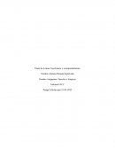 Insolvencia y reemprendimiento