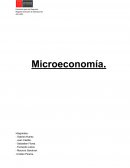 Microeconomía .Empresa: Cervecería MCM