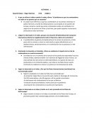 Actividad Contenedores y logística internacional