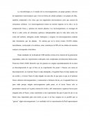 Microbiologia. Teoría microbiana