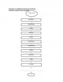 Formato no 5. Diagrama de flujo del producto