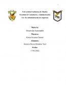 Desarrollo sustentable. Organizaciones de las naciones unidas