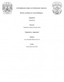 Epigenética y epigenoma