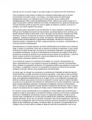 Describe qué son los ácidos omega 3 y qué papel juegan en el deportista de alto rendimiento