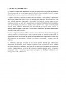 LA DEMOCRACIA COERCITIVA