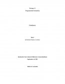 Programacion estocastica