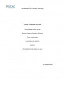 Ensayo: Estrategias de lectura. Comunicación oral y escrita