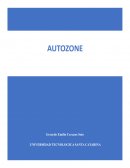 Análisis de modelo organizacional