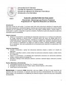 Programación C# - Algoritmos Modulares con Selectivas