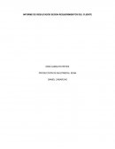 Informe de Resultados según Requerimientos del Cliente