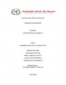 INTERPRETACION DE LA CONSTITUCION