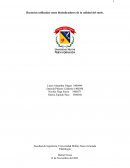 Bacterias utilizadas como bioindcadores de la calidad del suelo