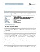 MÉTODOS DE LEVANTAMIENTO DEL PERFIL LABORAL EN ALUMIN CHILE