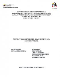 PROYECTO COMUNITARIO: DIAGNOSTICO DEL SECTOR BOBARE. Página 1