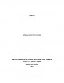 Desarrollo de la Familia