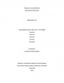 ANALISIS Y DESARROLLO DEL NEGOCIO