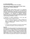 Artículo de Divulgación sobre el proyecto Comedor “Denles Ustedes de Comer” (Ponencia CIDERA 2021)
