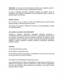 Callosidad enfermedad en la industria