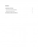 AUDITORIA ELÉCTRICA