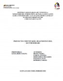 PROYECTO COMUNITARIO: DIAGNOSTICO DEL SECTOR BOBARE