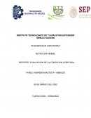 NUTRICION ANIMAL REPORTE: EVALUACION DE LA CONDICION CORPORAL