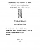 POR QUÉ ES IMPORTANTE SABER ACERCA DE LA ERGONOMIA VISUAL