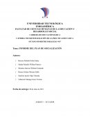 INFORME DEL PLAN DE SOCIALIZACIÓN