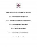 SISTEMA PENITENCIARIO MEXICANO