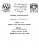 Reporte 4: “Entalpía de Fusión”
