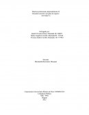 Práctica profesional emprendimiento II Resumen ejecutivo de plan de negocio