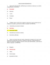 DERECHO PENAL. EVALUACION DIAGNOSTICA. Página 1