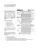 Fundamentos Ginecología y Obstetricia