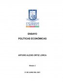 Ensayo de política Económicas