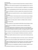 Ensayo de Sword of the stranger