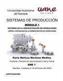 SISTEMAS DE PRODUCCIÓN