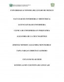 INTERVENCION DE LENGUAJE