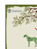 Sistema Urinario en Animales