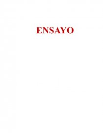 ENSAYO MIGRANTES. Página 1