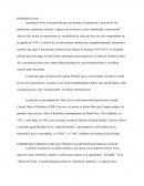 Ensayo de apocalipsis now (LAV I)